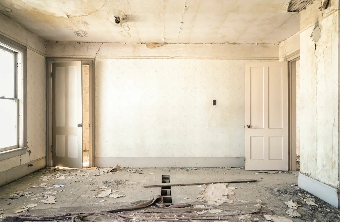 Waste disposal crew managing a cleanout project in Jarrell